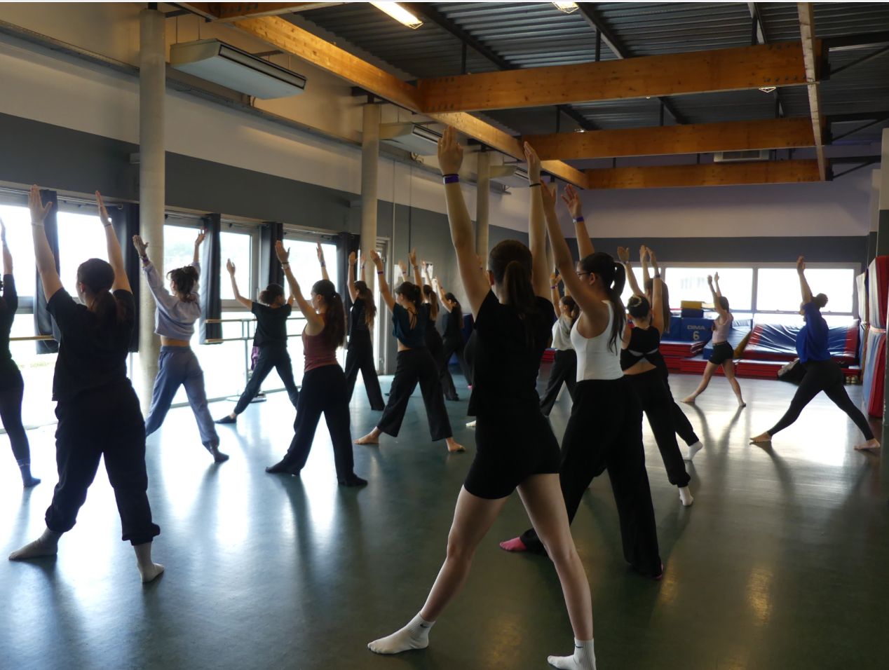 Templates WebAcappella Fusion